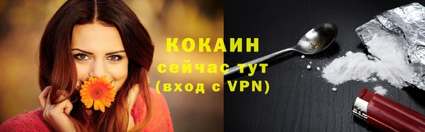 стаф Покровск