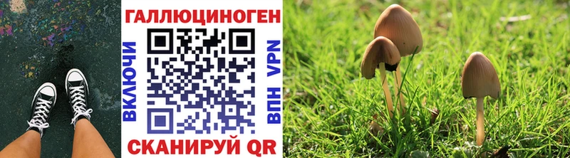 Галлюциногенные грибы Psilocybe omg как зайти Фрязино