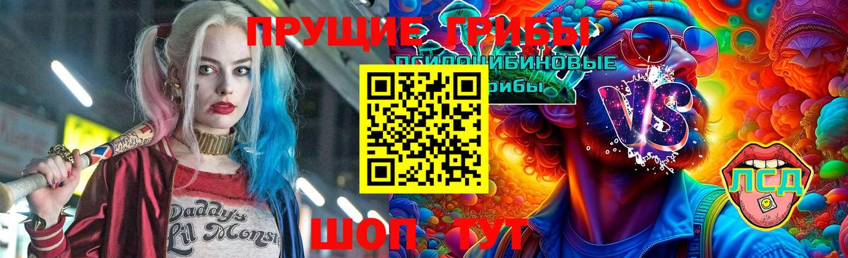 Псилоцибиновые грибы ЛСД  где купить наркоту  Фрязино  Вход с VPN 