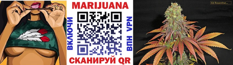 где можно купить   Фрязино  Бошки марихуана White Widow 