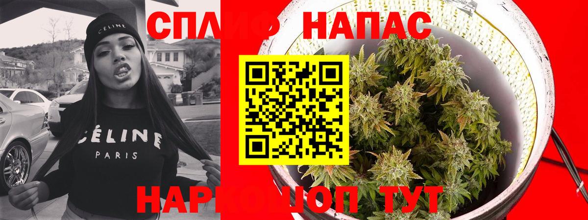 Шишки марихуана семена  Вход с VPN  Фрязино  Марихуана план  Бошки Шишки конопля  Конопля SATIVA & INDICA 